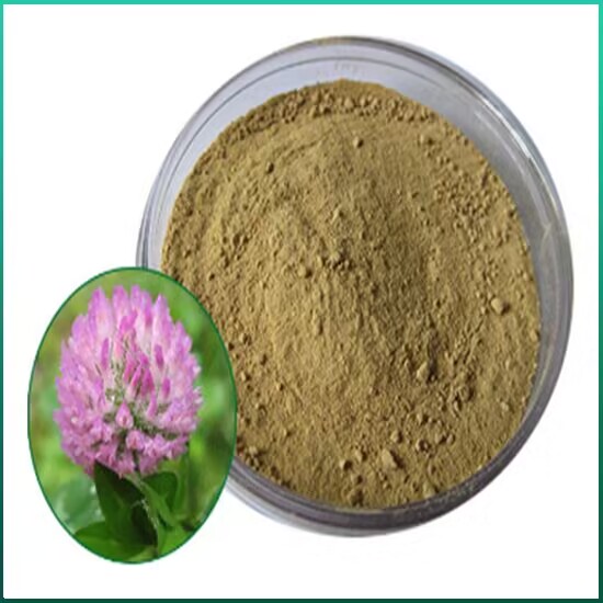 Pharmacological effects of red clover extract