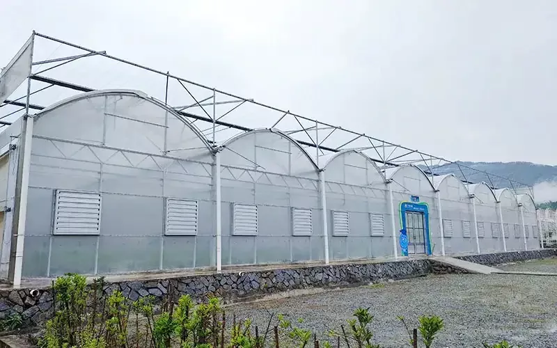 The Importance of Choosing the Right Greenhouse Plastic