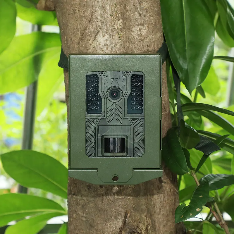 Why Should Every Hunter Use a Trail Camera for Better Results?